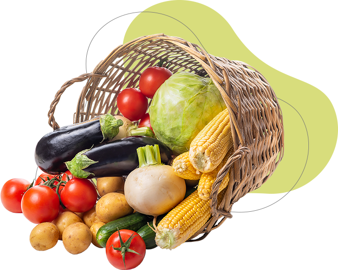 panier légumes