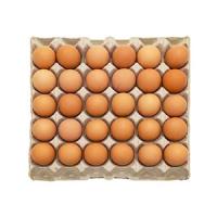 30 oeufs