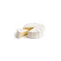 camembert